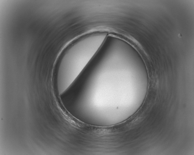 X0000064050783200601270957