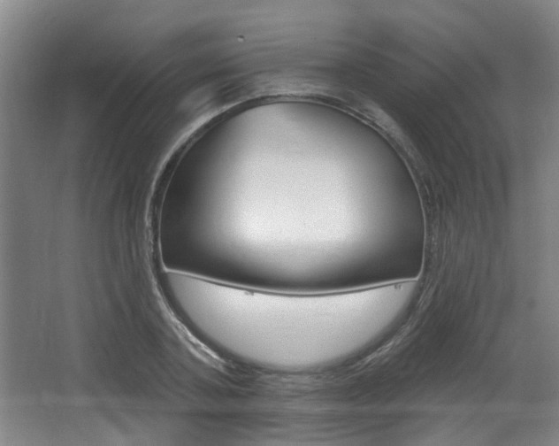 X0000064050787200601270957