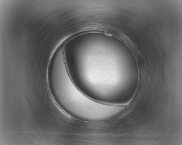 X0000064050788200601270957