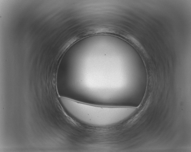 X0000064050793200601270957