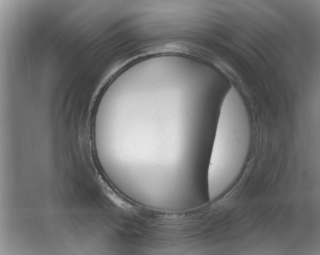 X0000064050800200601270957