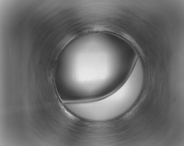 X0000064050801200601270957