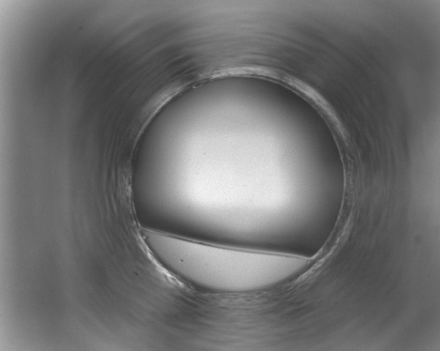 X0000064050809200601270957