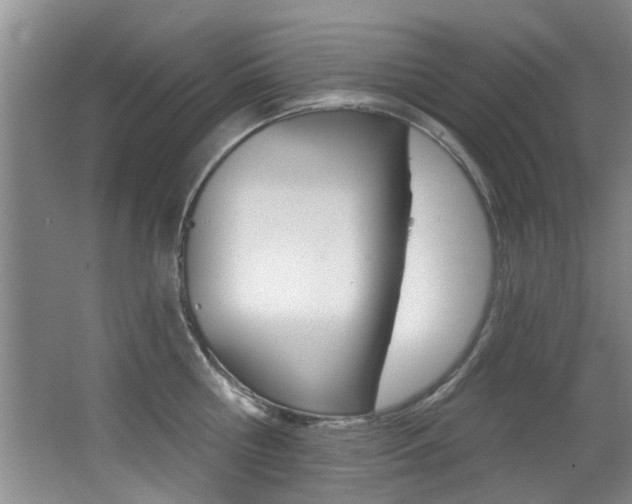 X0000064050810200601270957