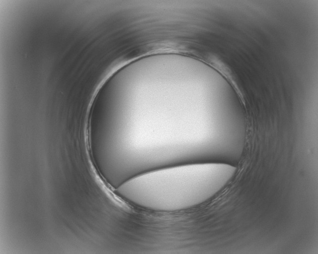 X0000064050811200601270957