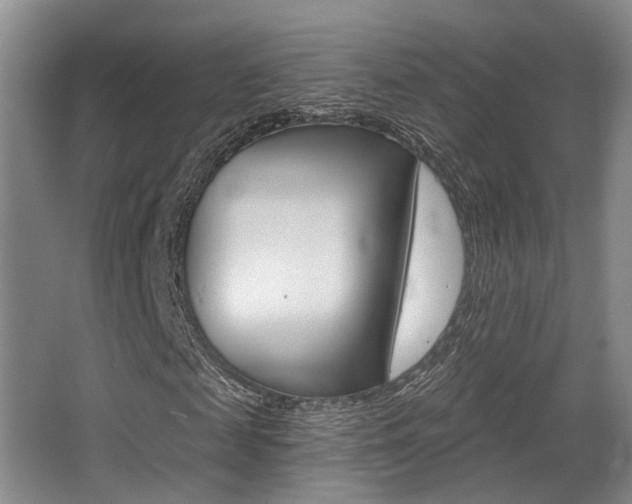 X0000064050817200601270956