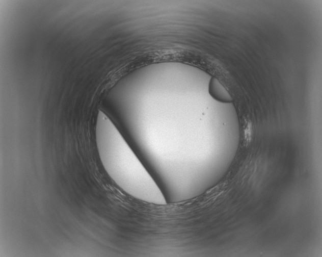 X0000064050819200601270956