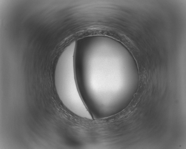 X0000064050821200601270956