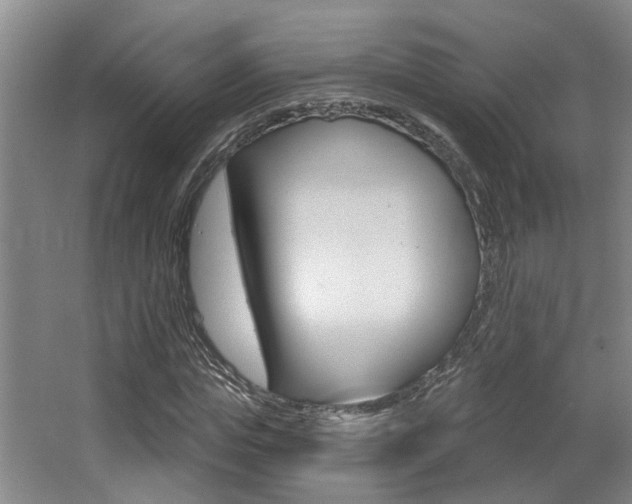 X0000064050823200601270956
