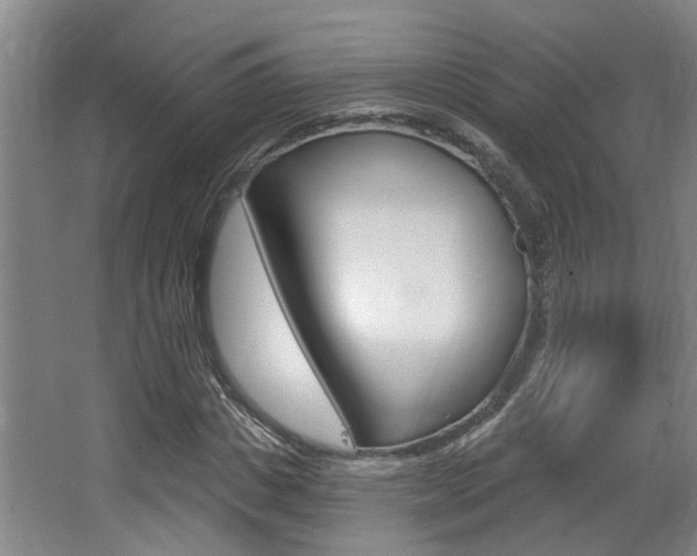 X0000064050825200601270956