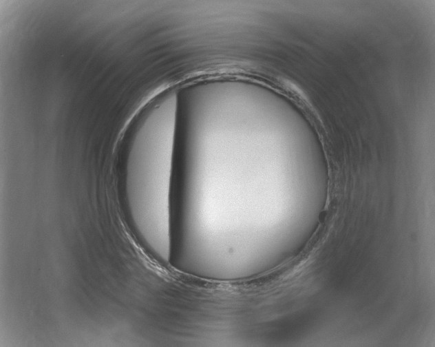 X0000064050827200601270956