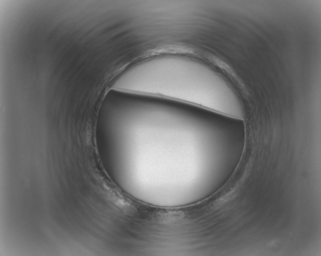 X0000064050833200601270956