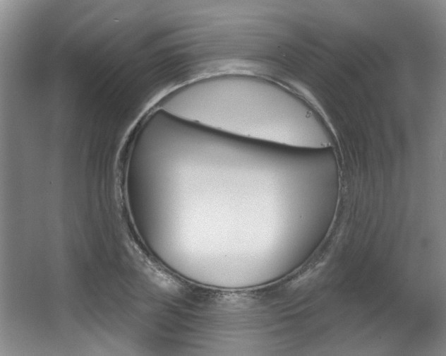 X0000064050835200601270956