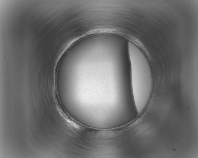 X0000064050844200601270956