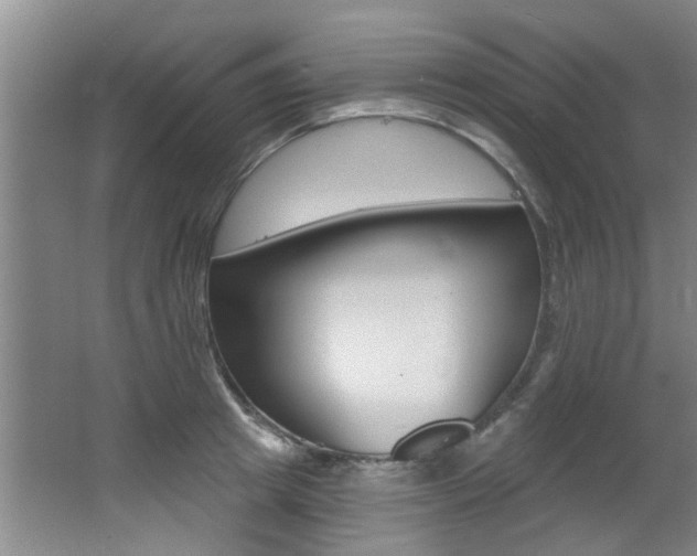 X0000064050849200601270956