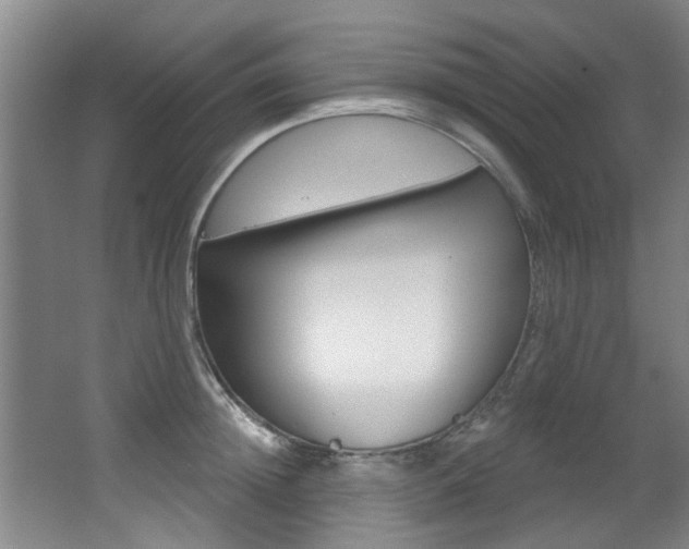 X0000064050852200601270956