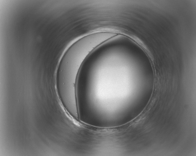 X0000064050862200601270956