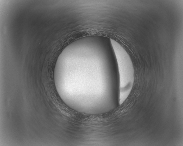 X0000064050865200601270956