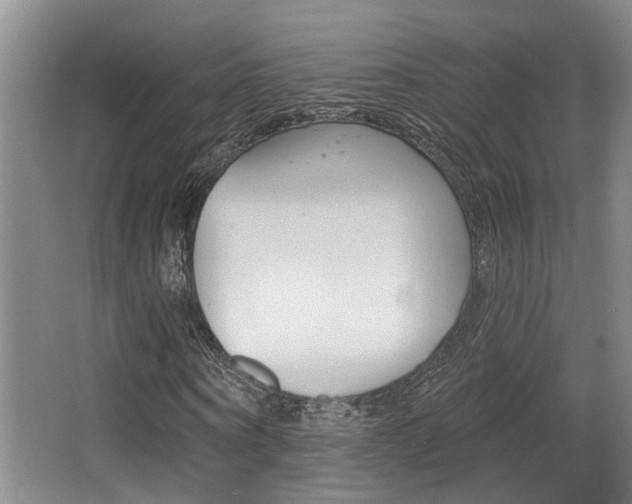 X0000064050866200601270956