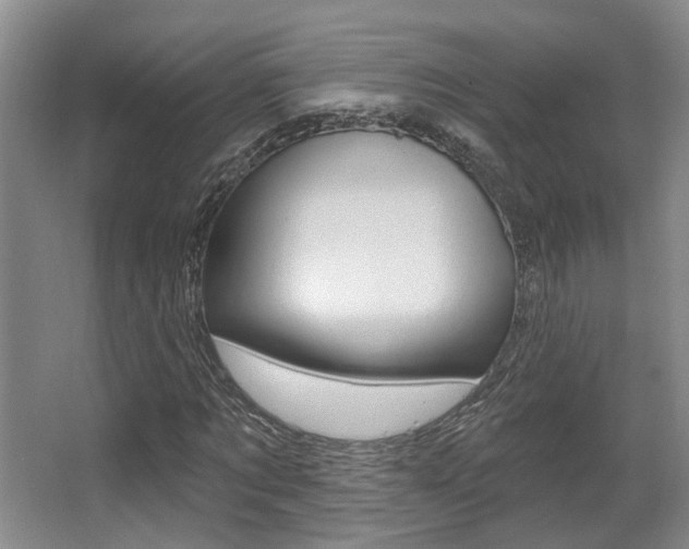 X0000064050869200601270956