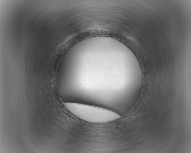 X0000064050870200601270956