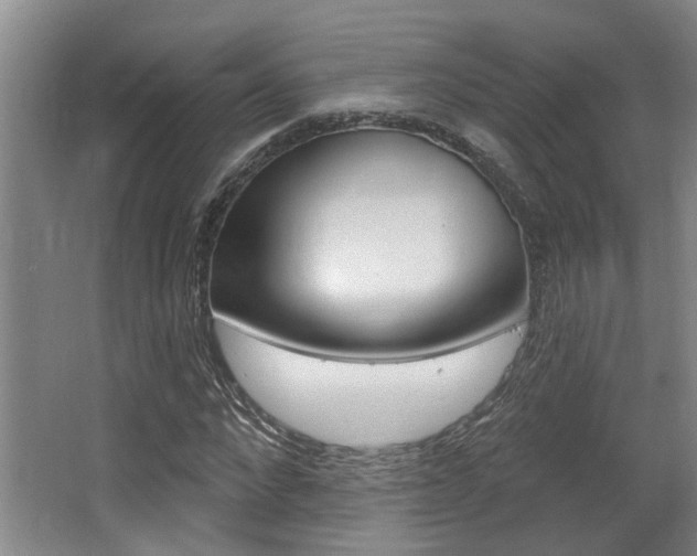 X0000064050872200601270956