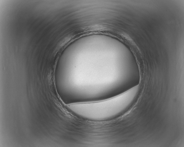X0000064050873200601270956
