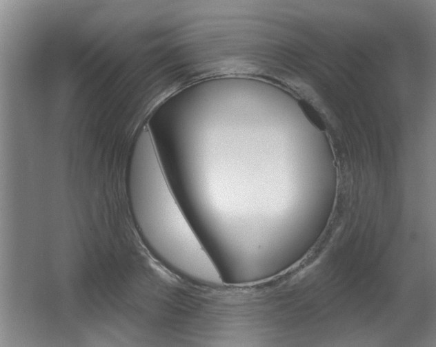 X0000064050889200601270955