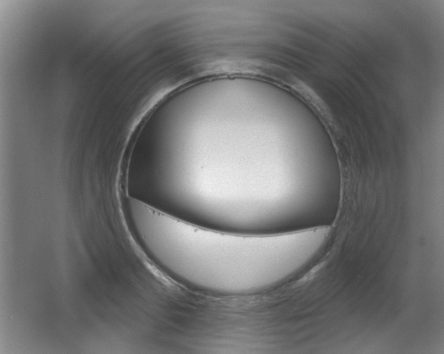 X0000064050893200601270955