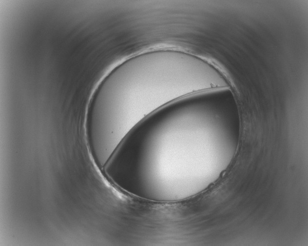 X0000064050902200601270955