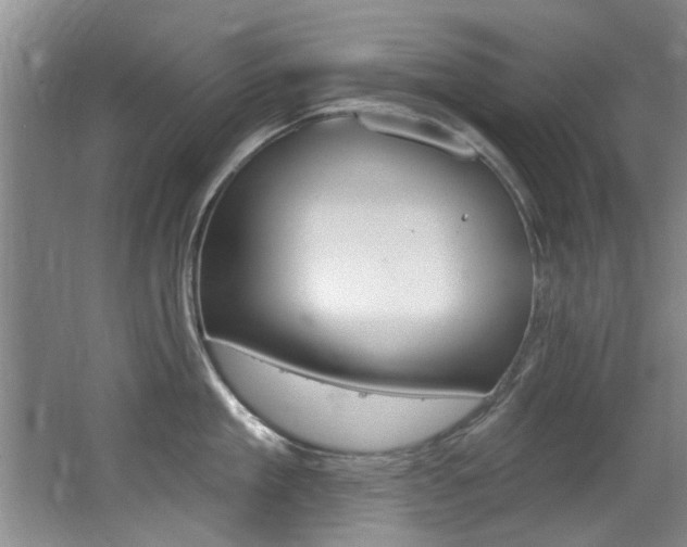 X0000064050909200601270955