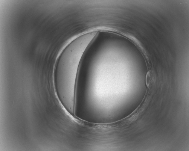 X0000064050910200601270955