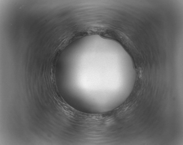 X0000064050915200601270954