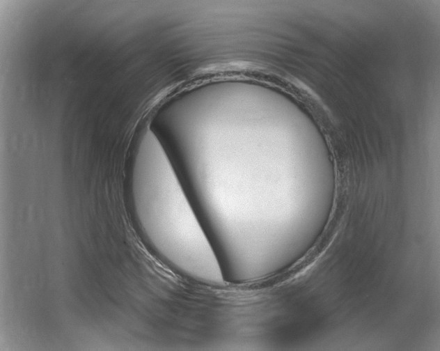 X0000064050921200601270954