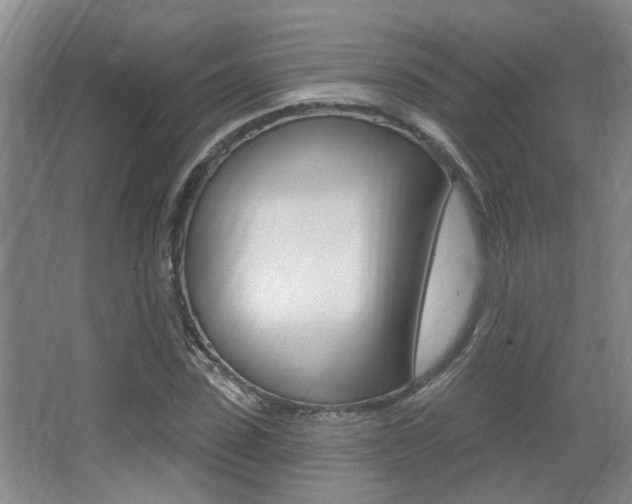 X0000064050923200601270954