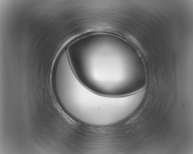 X0000064050932200601270954