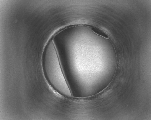 X0000064050942200601270955