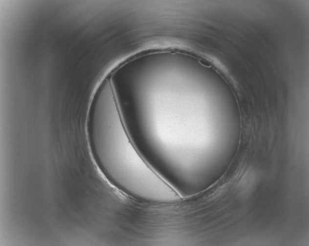 X0000064050943200601270955