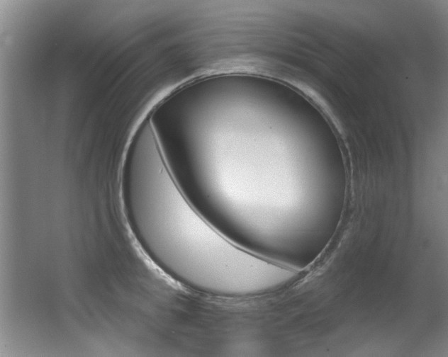 X0000064050949200601270955