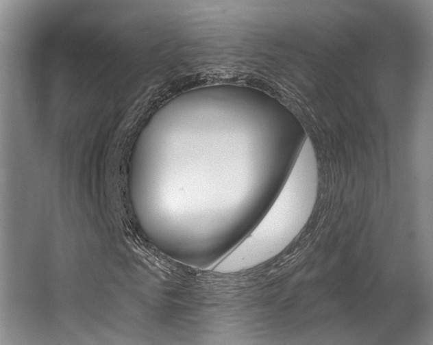 X0000064050961200601270954