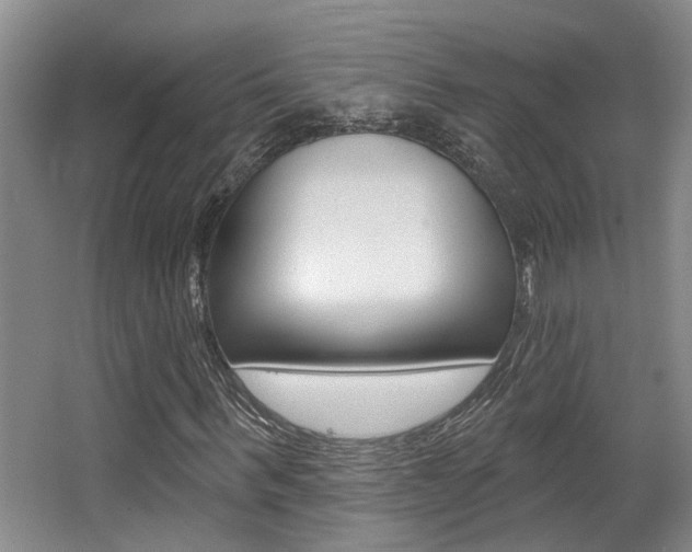 X0000064050963200601270954