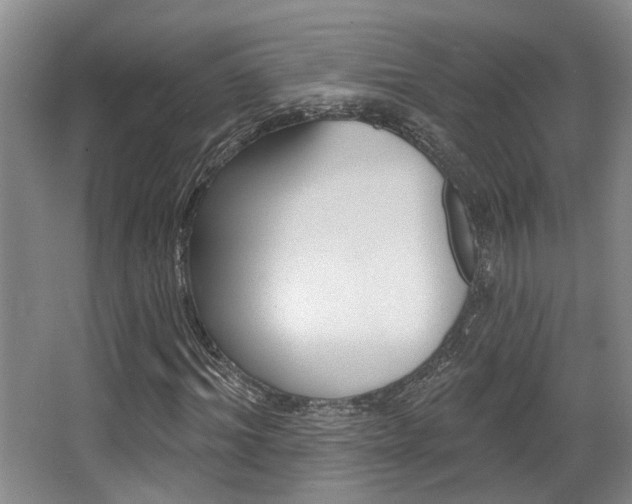 X0000064050964200601270954