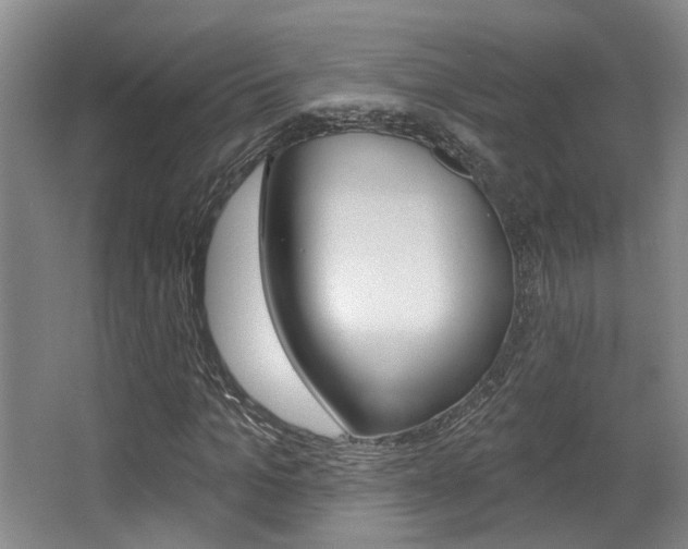 X0000064050965200601270954