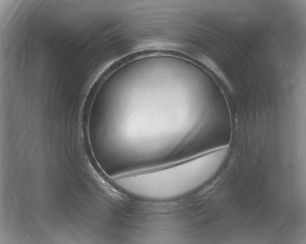 X0000064050972200601270954