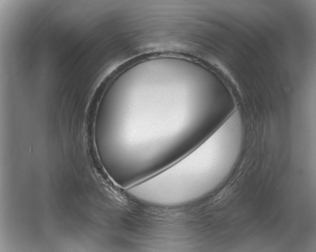 X0000064050975200601270954