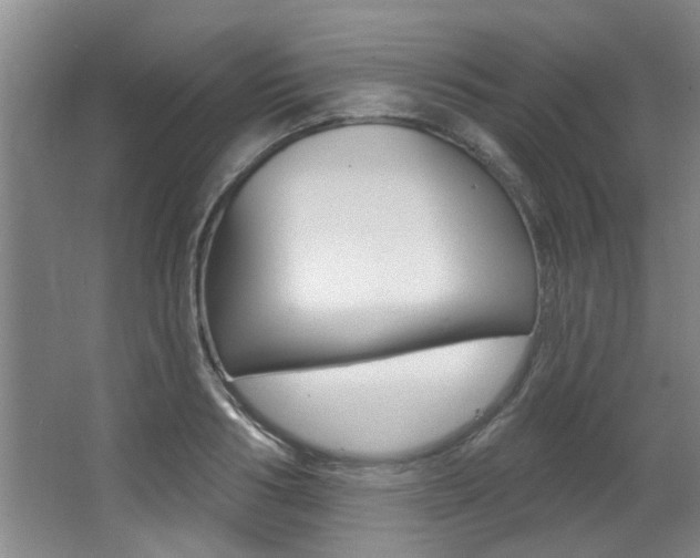 X0000064050986200601270954