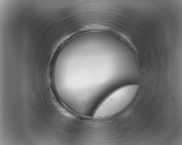 X0000064050987200601270954