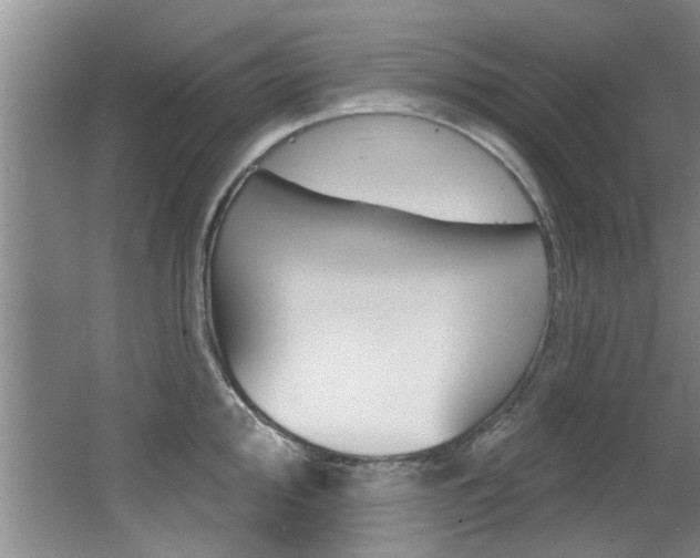 X0000064051000200601270953