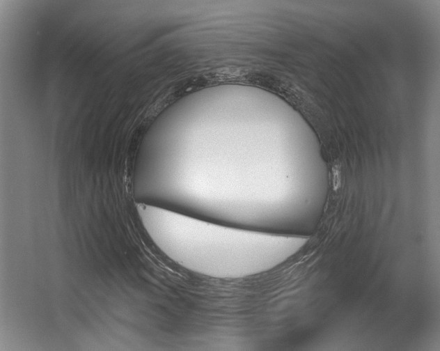 X0000064051011200601270952
