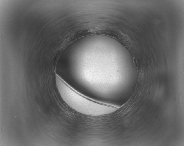 X0000064051012200601270952